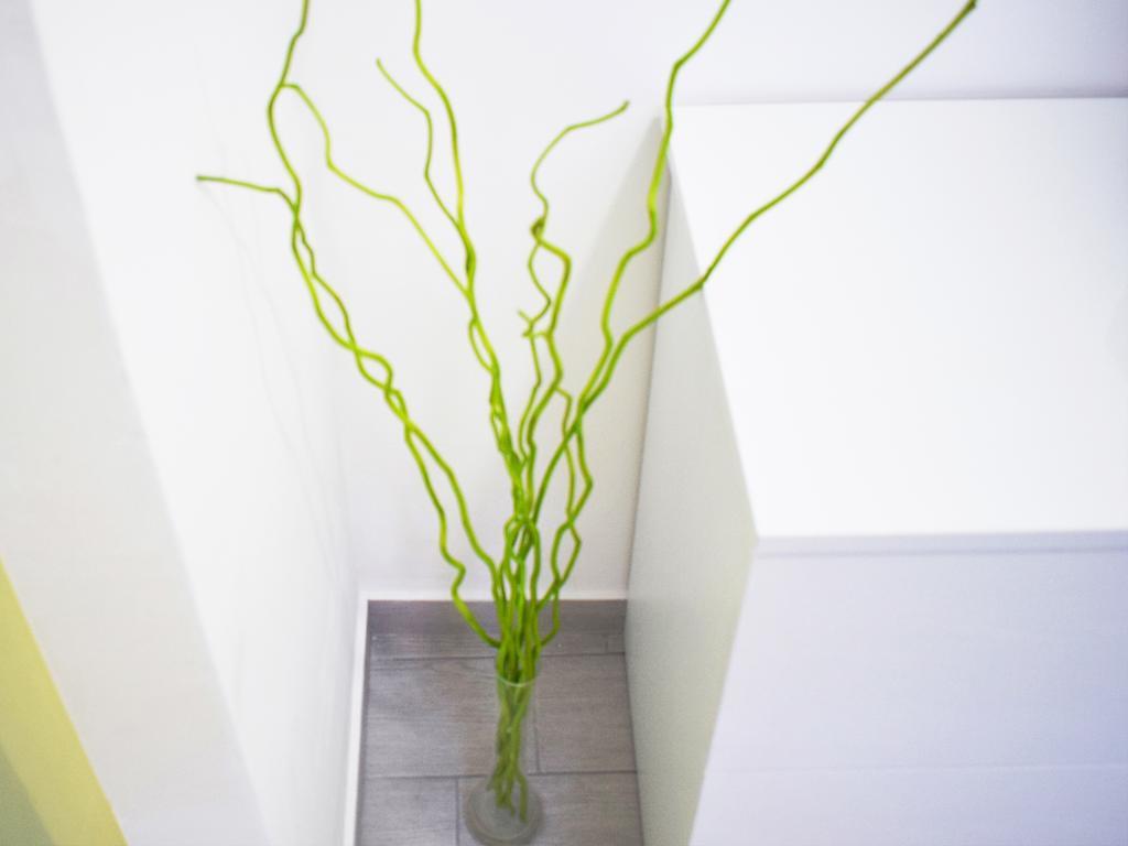Shower Shows Marsala Zewnętrze zdjęcie